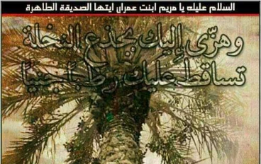 قصة السيدة مريم ابنة عمران