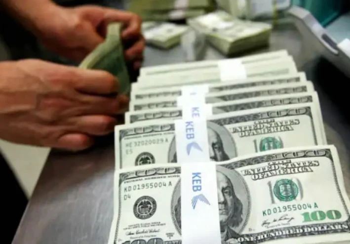 سعر الدولار اليوم في مصر – انخفاض مفاجئ أم استقرار مؤقت؟