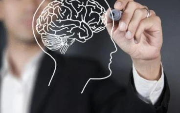 عقلك حقلك: ازرع فيه ما تحب أن تحصده