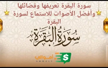سورة البقرة - تعريفها وفضائلها وأفضل القراء صوتا فى تلاوتها