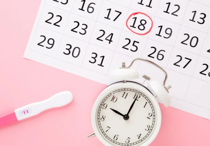 دليل شامل لحساب التبويض ب 5 طرق لزيادة فرص الحمل