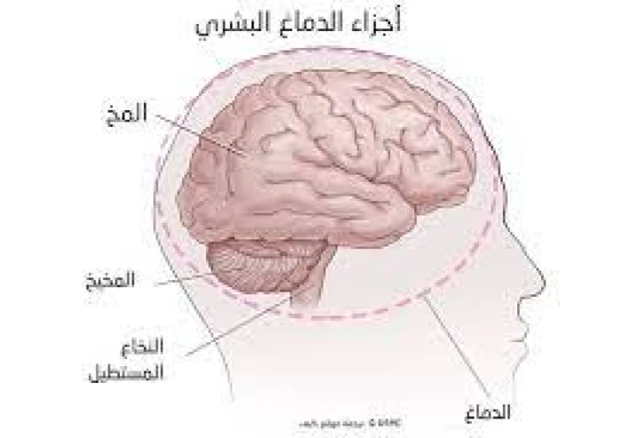 الذين يستمعون القول فيتبعون أحسنه يعني شغل مخك