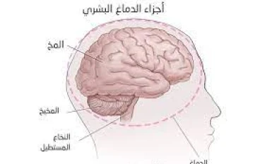 الذين يستمعون القول فيتبعون أحسنه يعني شغل مخك 