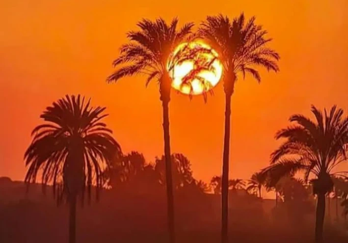 النجاح مش حظ