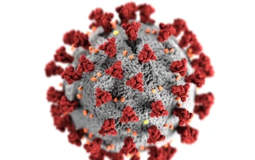 The Story of Molnupiravir:  Is It Safe?