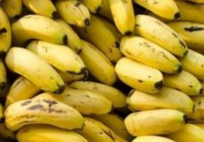 ما هي فوائد قشور الموز ؟