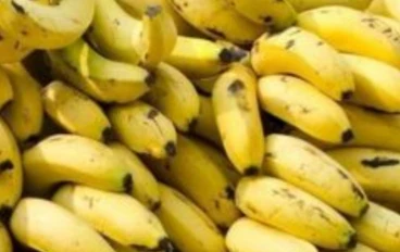 ما هي فوائد قشور الموز ؟
