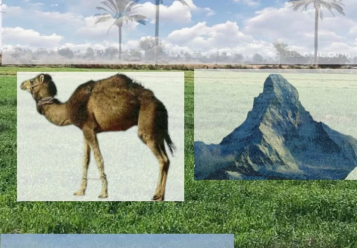وفي الأرض آيات للموقنين وفي أنفسكم     أفلا تبصرون ؟!