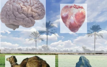 وفي الأرض آيات للموقنين وفي أنفسكم     أفلا تبصرون ؟!