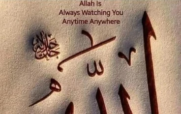 في ظلال   أيات  من   سورة   الحجرات