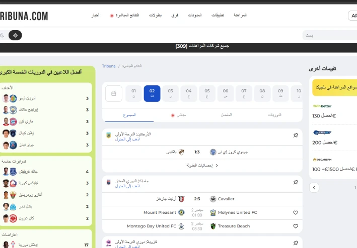 التحيزات المعرفية التي يجب على المراهنين الرياضيين تجنبها
