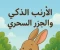 صورة مقال  الأرنب الذكي والجزر السحري 🥕