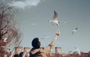 حديث مع نورس: حين يصبح الإصغاء علاجاً