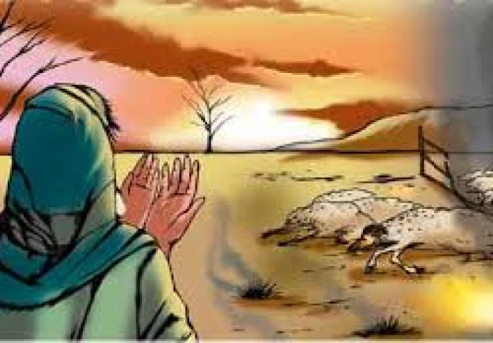 قصة سيدنا أيوب عليه السلام: دروس في الصبر والإيمان
