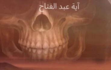 رواية الواحة الملعونة الفصل العاشر آية عبد الفتاح