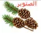صورة مقال الشجره المعمره وكنوزه الغذائيه والعلاجيه