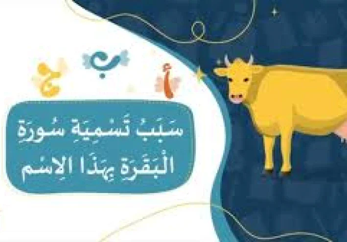 لماذا سُمّيت سورة البقرة بهذا الاسم؟ ما السر وراء ذلك   والعبرة:إياك تعمل زي بني إسرائيل… نفّذ قبل ما تتفلسف