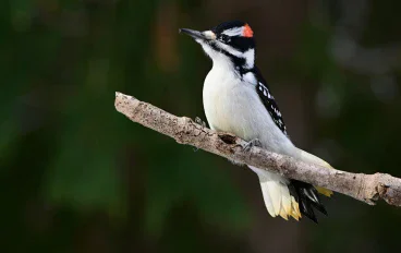 طريقك نحو الثقافة