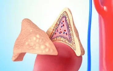الكورتيزول: هذه هي الطريقة التي يمكنك بها تقليل هرمون التوتر الذي يجعلك سمينا