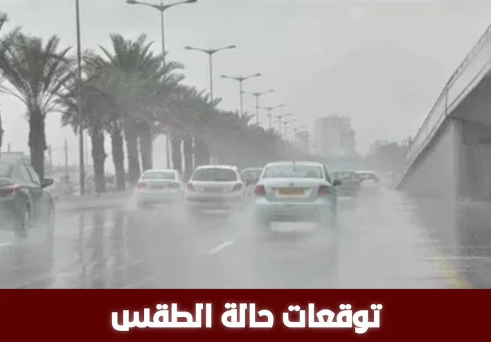 الطقس في مصر من 7 إلى 11 مارس 2026: شبورة صباحية وأمطار خفيفة ونشاط رياح