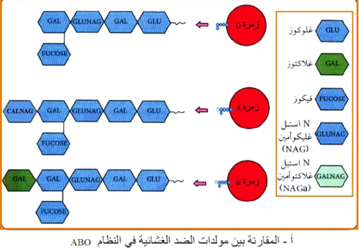 الذات واللاذات لمادة  العلوم الطبيعية والحياة