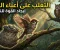 article image for ثقل الذكريات: عندما يصبح الماضي عبئًا يمنعنا من الطيران