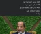 صورة مقال دمج كلية السياحة والفنادق مع الاثار..