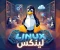 صورة مقال ما هو لينكس؟ دليل بسيط لفهم واحد من أهم أنظمة التشغيل