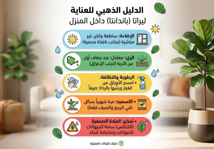 شجرة الفيكوس المقدسة (Ficus religiosa): رمز التنوير ورئة الطبيعة