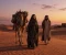 صورة مقال "والله ما لكِ من مَنزل".. حين تُخجل شهامة "خصم" كبرياء الصمت