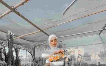 تحميل 50 فلتر لايت روم بدون باسورد lightroom filter