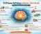 صورة مقال Rewire Your Brain   (in 12 Ways)