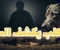 صورة مقال قصة وفاء كلب غيّرت حياة رجل بالكامل 🥺❤️