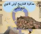 صورة مقال تحميل مذكرة المراجعة النهائية تاريخ أولى ثانوي الترم الثاني 2026 PDF شرح شامل وأهم الأسئلة المتوقعة