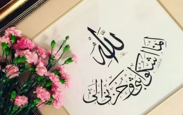 تعلم فن الشكوى