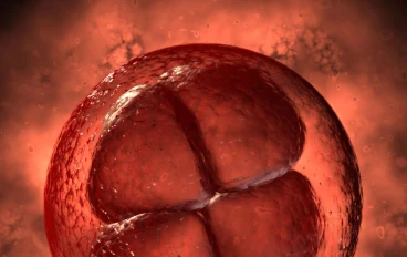 الإثمار العذري (Parthenogenesis).. كيف تنجب بعض الكائنات دون تزاوج؟