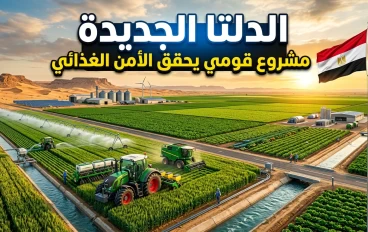 الدلتا الجديدة: مشروع قومي يحقق الأمن الغذائي ومستقبل التنمية في مصر