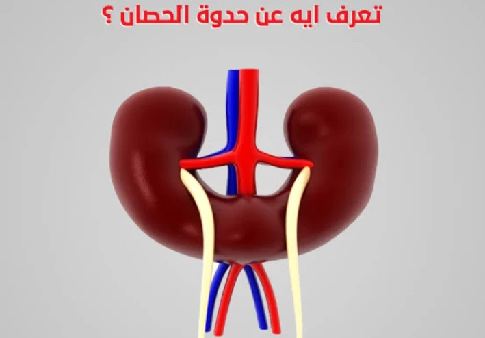 الفرق بين الكلى حدوة الحصان و الكلى الطبيعى اسرار طبية ؟؟؟