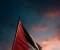 صورة مقال فلسطين.. والقضية الفلسطينية (تاريخ من الصمود والنضال).