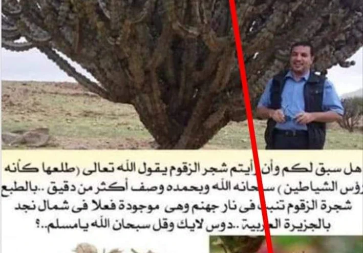 شجرة الزقوم 🌲هي شجرة الجحيم 🔥🔥
