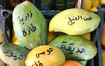 انواع المانجو المتواجده في مصر