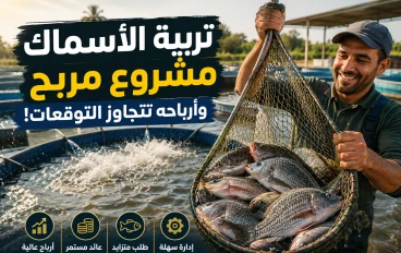 كيف تحقق أرباحًا كبيرة من تربية وبيع الأسماك؟ دليل شامل لبدء مشروع الاستزراع السمكي الناجح