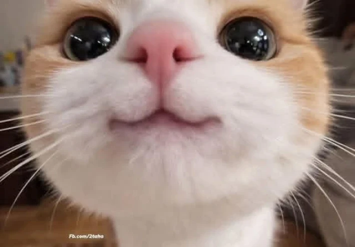 هل نعيش لرغباتنا أم لتوقعات الآخرين؟