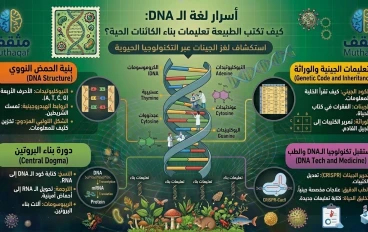 لغة الـ DNA – كيف تكتب الطبيعة تعليمات بناء الكائنات الحية؟