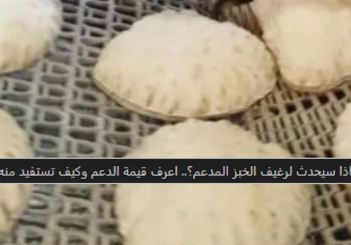 مستقبل رغيف الخبز المدعم في مصر: منظومة جديدة لتعزيز الدعم