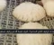 صورة مقال مستقبل رغيف الخبز المدعم في مصر: منظومة جديدة لتعزيز الدعم