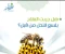 صورة مقال العلاج بقرص النحل بين الواقع العلمى خرافات الطب البديل 