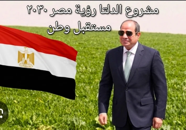 مشروع الدلتا الجديدة والربط الكهربائي مع الأردن: