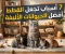صورة مقال لماذا يزداد انتشار القطط المنزلية؟ 7 فوائد تجعل الكثيرين يفضلون تربيتها