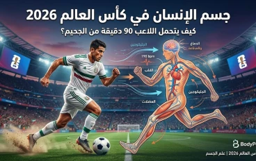 جسم الإنسان في كأس العالم 2026 كيف يتحمل اللاعب 90 دقيقة من الجحيم؟